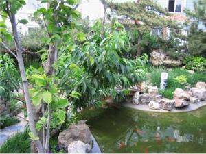 無錫景觀設計